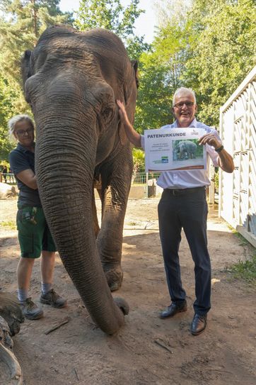 Seit kurzem ist die LWG Pate für die Elefantendame Karla im Cottbuser Tierpark, sehr zur Freude von Geschäftsführer Jens Meier-Klodt. Foto: LWG