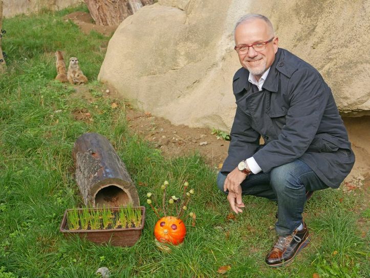 Oberbürgermeister Stefan Skora bei der Erdmännchen-Taufe Fotos: pm
