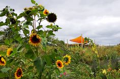 Garten- und Naturfreunde kommen voll auf ihre Kosten.