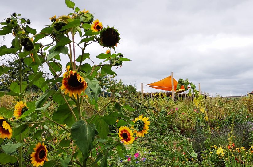 Garten- und Naturfreunde kommen voll auf ihre Kosten.
