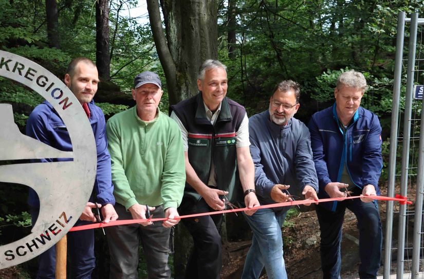 Lucas Schmidt (verantwortlicher Planer), Uwe Borrmeister (Leiter Nationalpark- und Forstverwaltung), Roman Rolof (Bürgermeister Kurort Rathen) und Torsten Grämer (Metallbau Lottes, v.l.n.r.) schneiden das Band zur Wiedereröffnung durch.