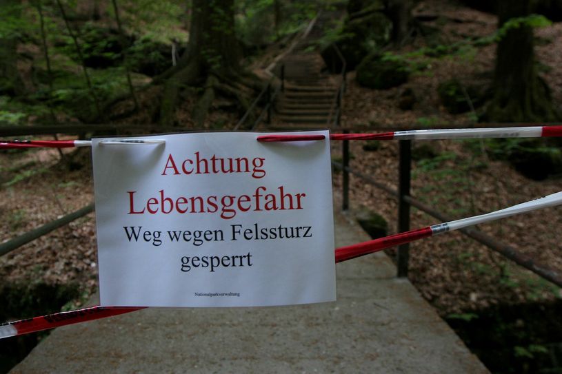 Der Weg durch den Amselgrund musste kurzfristig gesperrt werden. Symbolfoto: D. Förster
