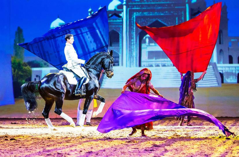 In der Show können die Besucher hochklassige Dressur bestaunen.