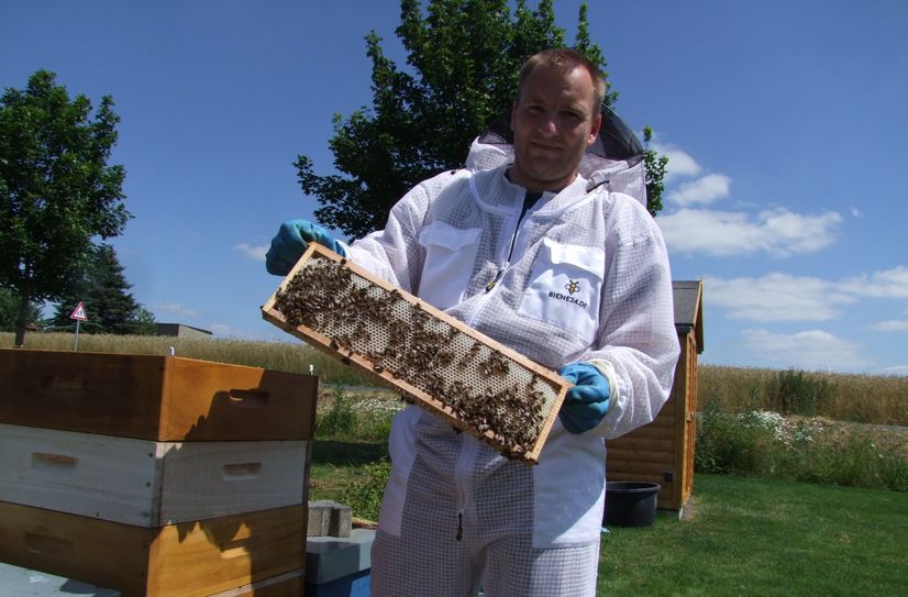 Die sechs Bienenvölker von Daniel Neubauer, produzieren jährlich zwischen 150 und 200 Kilogramm Honig.