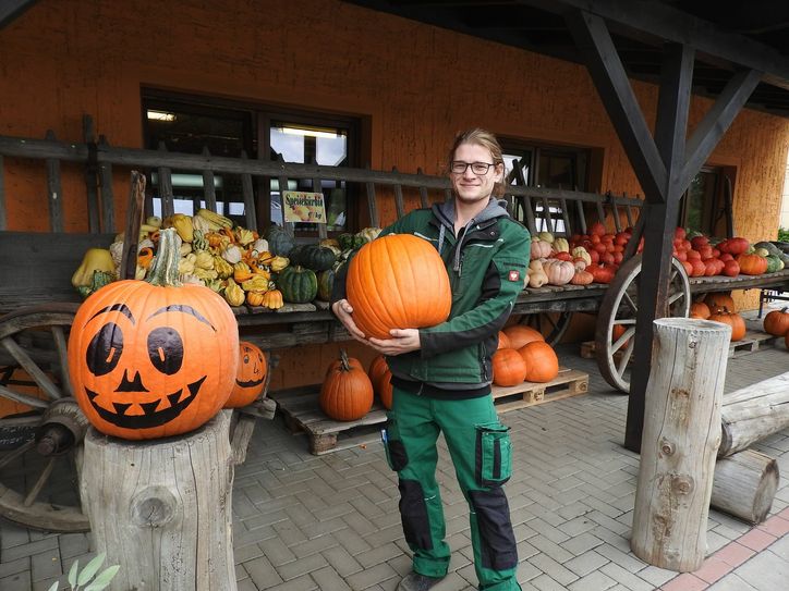Eine bunte Kürbis-Vielfalt findet sich bei Obstbau Rüdiger in Dresden-Hosterwitz. Florian Lassig präsentiert die reichliche Ernte. Foto: R.Rink