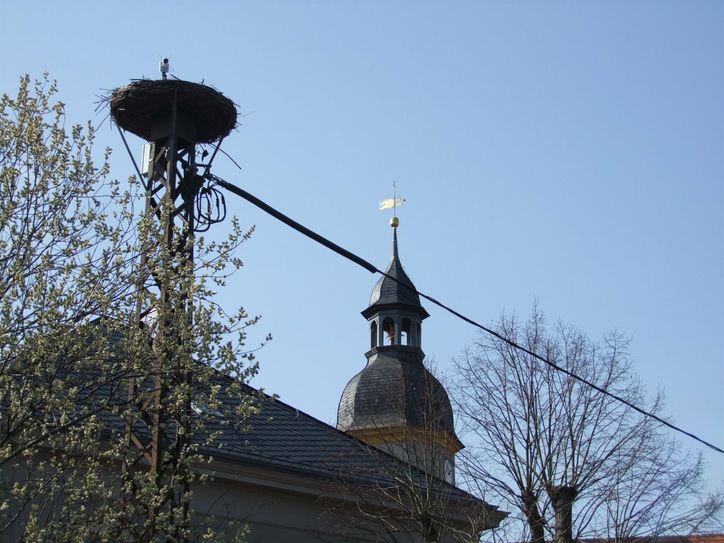 Im Ottendorfer Ortsteil Grünberg hofft man auf die Rückkehr des Storchenpaares. Der im Ortszentrum gelegene Storchenhorst ist in diesen Tagen wieder Anlaufpunkt für zahlreiche Wanderer.