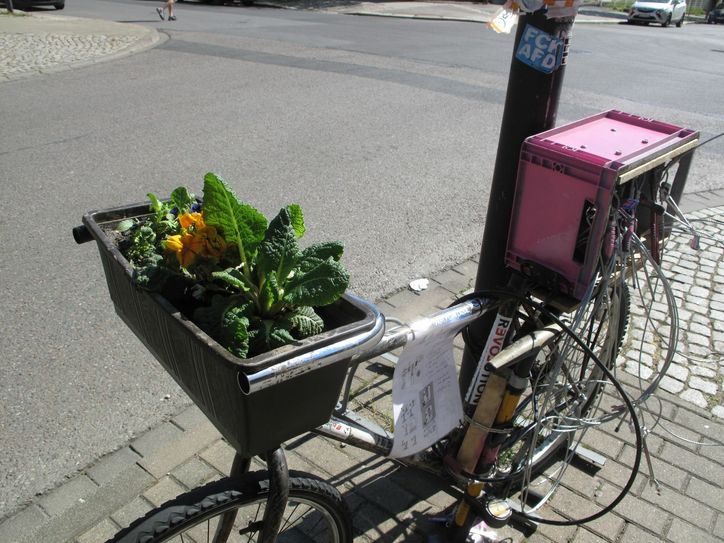 Gestatten: Frau Rosa RepaRad, die neue Mitarbeiterin der Fahrrad-Selbsthilfewerkstatt auf der Berliner Straße. Foto: Fahrradselbsthilfe-Werkstatt