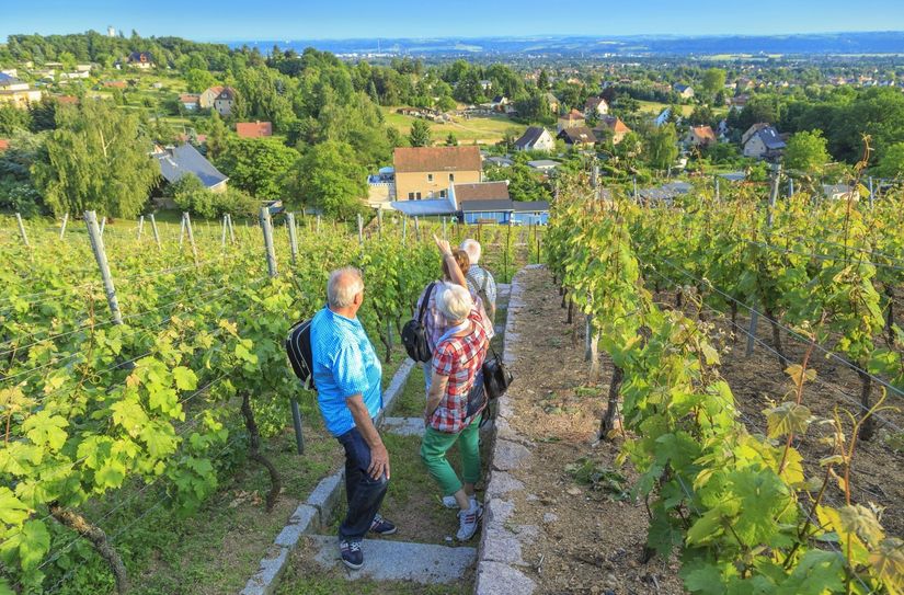 Eine wunderschöne Umgebung macht Weinböhla zu einem besonderen Erholungsort.