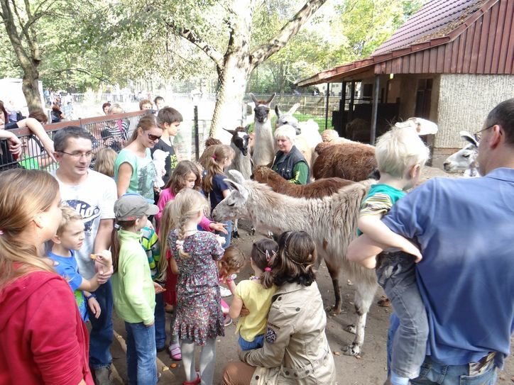Foto: Zoo, Kultur und Bildung Hoyerswerda gGmbH