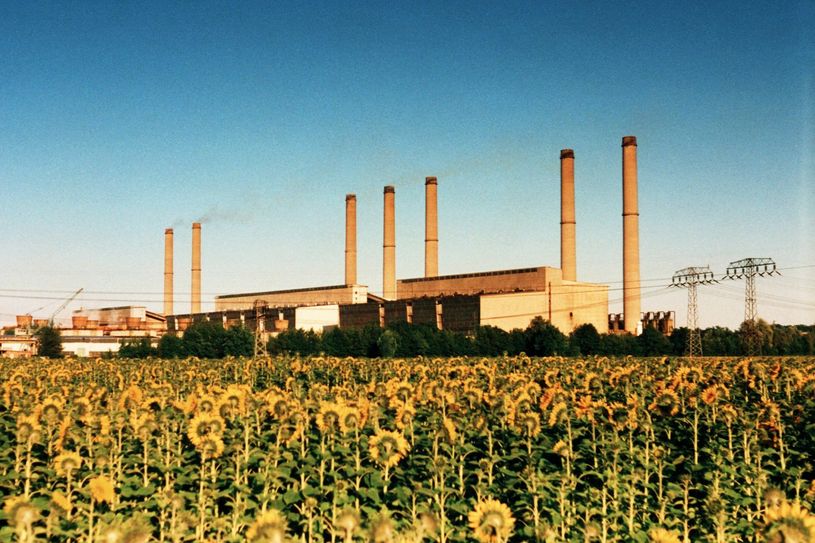 Die sieben Riesen von Lübbenau. Foto: AG Zeitgeschichte/„LübbenauBrücke“
