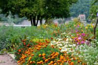 Heil und Kräutergarten der Sopro Meißen
