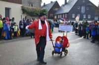 Eindrücke vom großen Umzug zum Eisfasching in Geising.