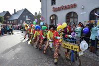 Eindrücke vom großen Umzug zum Eisfasching in Geising.