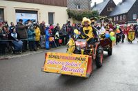 Eindrücke vom großen Umzug zum Eisfasching in Geising.
