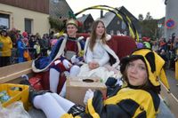 Eindrücke vom großen Umzug zum Eisfasching in Geising.