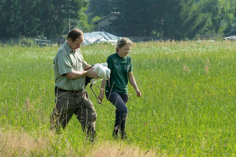 Fotos: zoo-goerlitz.de, C. Weß