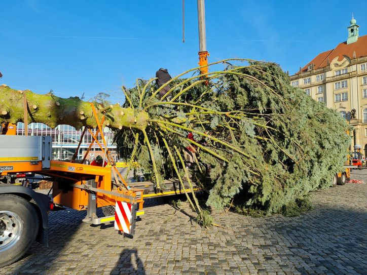 Fotos: Büttner