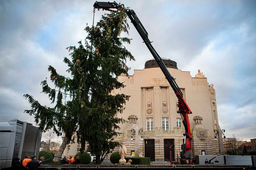 Vor dem Großen Haus des Staatstheaters Cottbus wird der Weihnachtsbaum aufgestellt. Foto: Marlies Kross