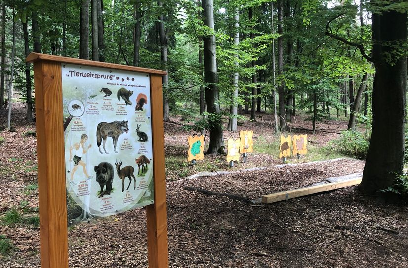An Station 5 des Natur-Erlebnis-Pfades kann die Sprungkraft getestet werden.