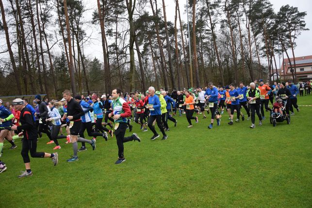 Der Branitzer Parklauf ist seit Jahren ein fester Bestandteil des Cottbuser Sportkalenders