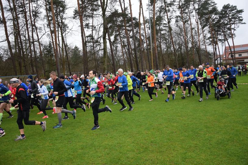 Der Branitzer Parklauf ist seit Jahren ein fester Bestandteil des Cottbuser Sportkalenders