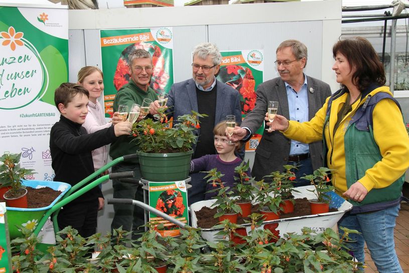In der Gärtnerei Rüdiger Winde in Schönborn wird die Pflanze des Jahres mit Sekt getauft (vo.li.na.re.): Veit Rudel, Victoria Tietze, Rüdiger Winde, Axel Vogel, Frauke Rudel,  Dr. Klaus Henschel und Anke Schenk. Foto: sts