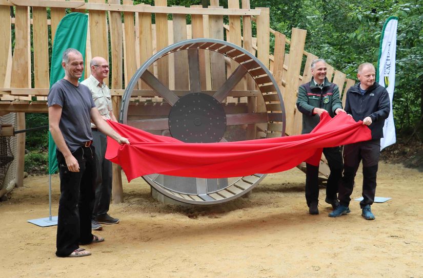 Zimmermann Bernhard Witte, Nationalparkrevierleiter Matthias Protze, Nationalpark-Forstverwaltungsleiter Uwe Borrmeister und der Hinterhermsdorfer Ortsvorsteher Sven Wießner enthüllen die bundesweit wohl einmalige Schausäge.