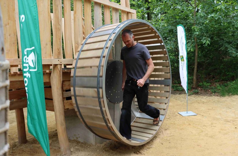 Zimmerermeister Bernhard Witte hat mit seinen Mitarbeitern und Partnern die Schausäge nicht nur gebaut, optimiert und die Mechanik für eine gefahrlose Nutzung abgestimmt, er war auch nach der Eröffnung der geübteste Läufer im Antriebsrad.