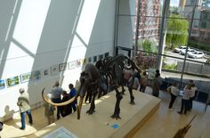 Der Malzirkel Branitz stellt zurzeit im Kreishaus des SPN-Kreises aus.