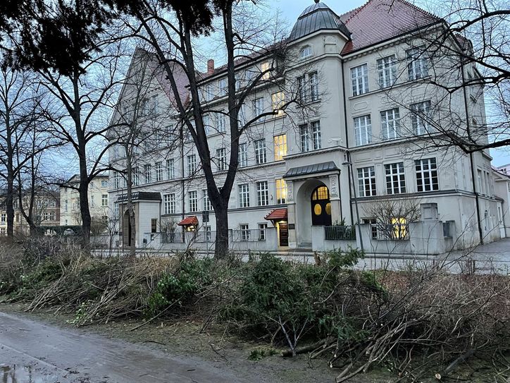 Die Stadtverordneten waren in ihrer Sitzung über die beabsichtigten Pflegearbeiten informiert worden.