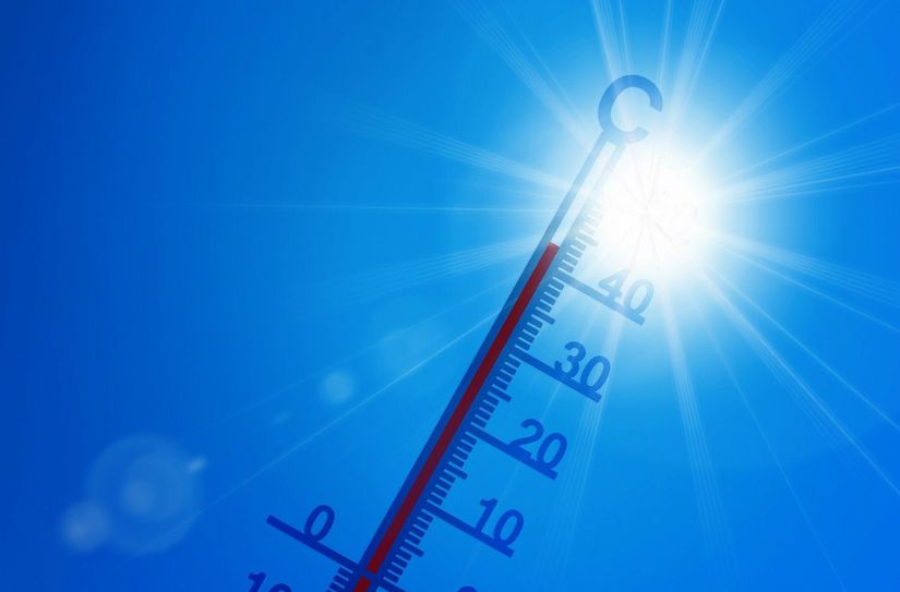 Der Klimawandel wird auch in Dresden immer deutlicher spürbar.