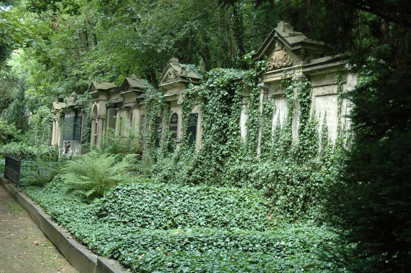Am Beispiel des St. Pauli Friedhof ist zu sehen, wie sich die Natur das Areal zurückholt und Grabmale zerstört werden, wenn sich niemand mehr kümmert. Dieser Friedhof wird schließen. Foto: Pönisch