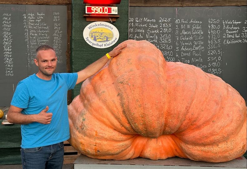 Stolz präsentiert Oliver Grafe seinen gigantischen Siegerkürbis auf der Waage in Klaistow.               Foto: privat