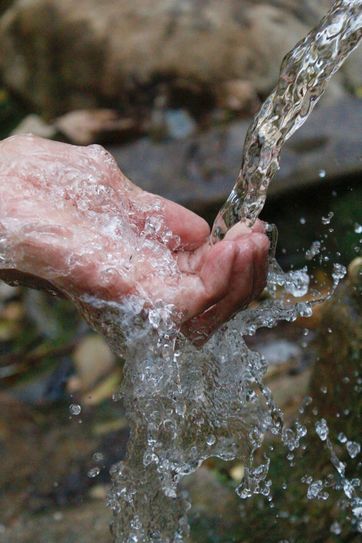 Einfaches Händewaschen mit Wasser reicht im Krankenhaus nicht, um sich vor gefährlichen Keimen zu schützen.  Die Elblandkliniken haben jetzt sogar ein neues Überwachungssystem eingeführt. Foto: pexels