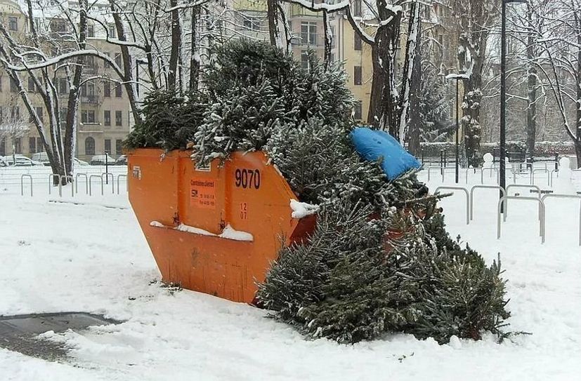 Seinen ausgedienten Weihnachtsbaum kann man an einen der Sammelplätze bringen oder in die städtischen Wertstoffhöfe.
