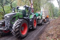 Zur Verbesserung des vorbeugenden Waldbrandschutzes wird nach der Fällung der größeren abgestorbenen Fichten auch das Feinmaterial und Restholz gehackt und entfernt.