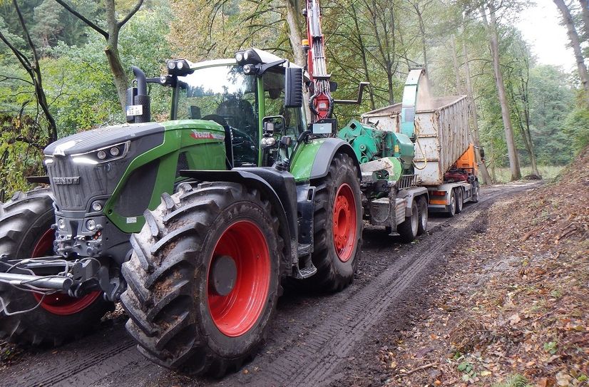 Zur Verbesserung des vorbeugenden Waldbrandschutzes wird nach der Fällung der größeren abgestorbenen Fichten auch das Feinmaterial und Restholz gehackt und entfernt.