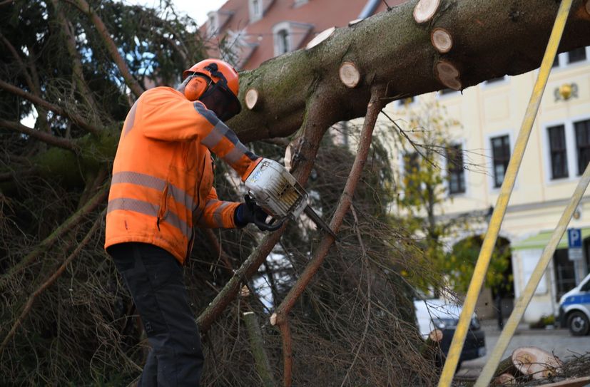 Großenhainer Weihnachtsmarkt-Baum 2023