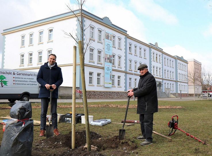 Oberbürgermeister Marco Müller (li.) und Ehrenbürger Günter Colve beim einpflanzen der Traubeneiche auf dem Poppitzer Platz. Fotos: Stadt Riesa