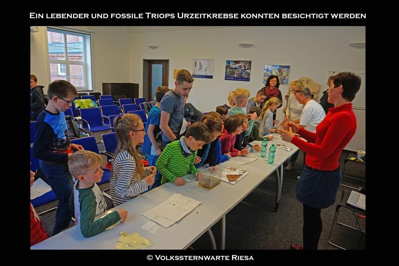 Foto: Stefan Schwager