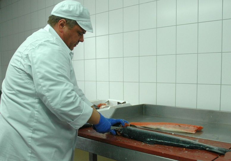 Sehr schnell wird aus einem großen Fisch ein leckeres Filet.