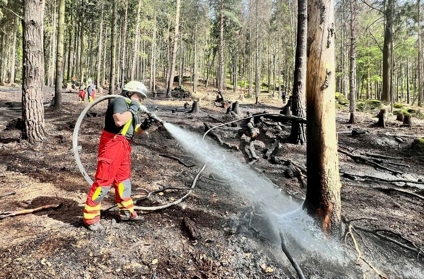 Kameraden der Feuerwehr löschen den Waldbrand am Steinberg.