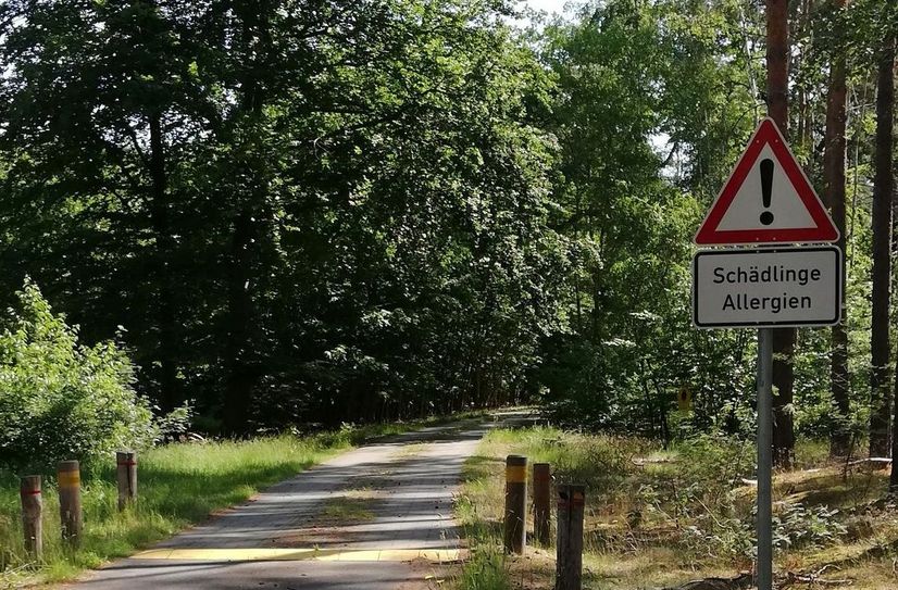 Ein Hinweisschild zum Eichenprozessionsspinner an einem Radweg.