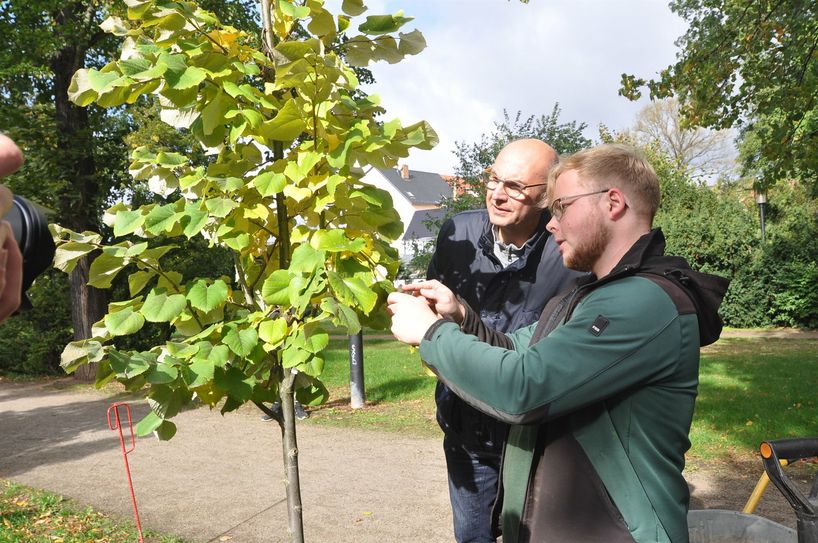 Lions-Präsident Thomas Körlin im Gespräch mit Tim Schenk von der Baumschule Saathainer Mühle. 
  Foto: F. Claus