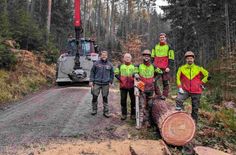 Revierleiter Olav Spengler und Forstwirte der Nationalpark- und Forstverwaltung von Sachsenforst haben eine Lärche für die Submission ausgewählt und so gefällt und aufbereitet, dass sie ohne Risse oder sonstige Schäden zum Verkauf angeboten werden konnte.