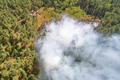 Waldbrände stellen Feuerwehren vor eine besondere Herausforderung: Der Brand muss exakt lokalisiert werden und vor allem mit Einsatzfahrzeugen zugänglich sein. Foto: KFV OSL e.V. /Holger Neumann