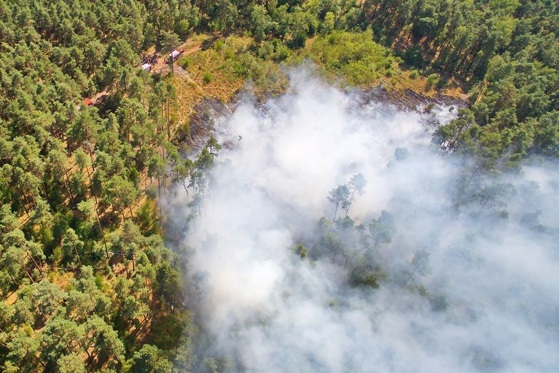 Waldbrände stellen Feuerwehren vor eine besondere Herausforderung: Der Brand muss exakt lokalisiert werden und vor allem mit Einsatzfahrzeugen zugänglich sein. Foto: KFV OSL e.V. /Holger Neumann