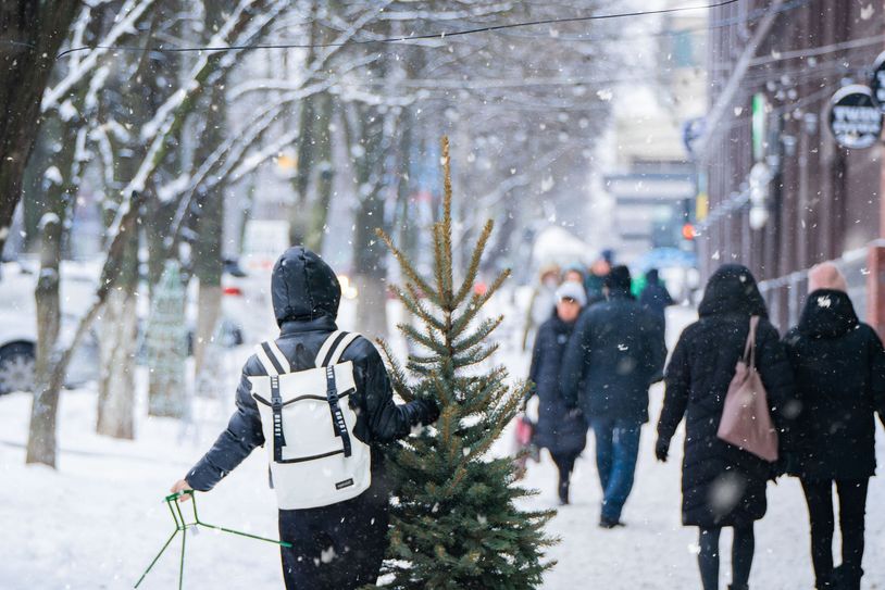 Wo kann der Weihnachtsbaum entsorgt werden? Foto: VisionsPics