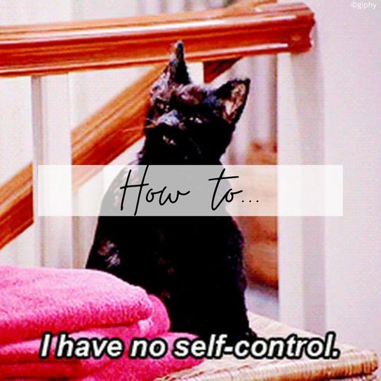 ©giphy