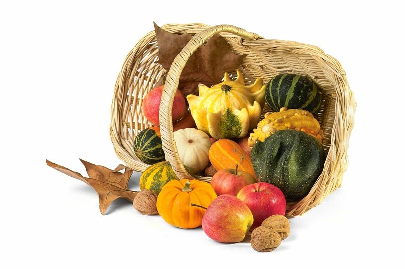 Foto: Fotolia.com